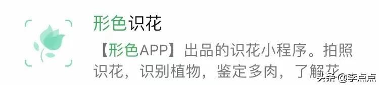 程序小游戏_程序小程序制作_小程序