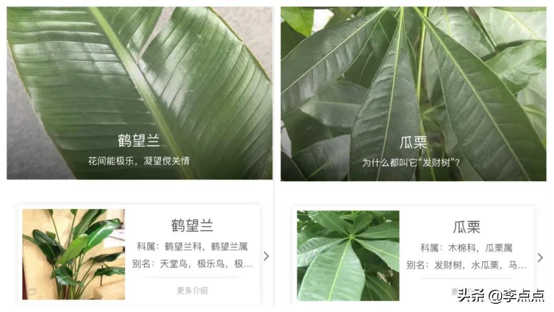 程序小游戏_程序小程序制作_小程序