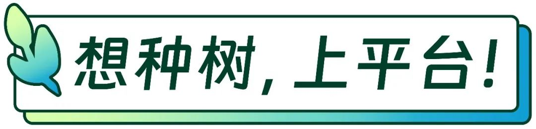 建设程序流程图_小程序建设方案_小程序建设