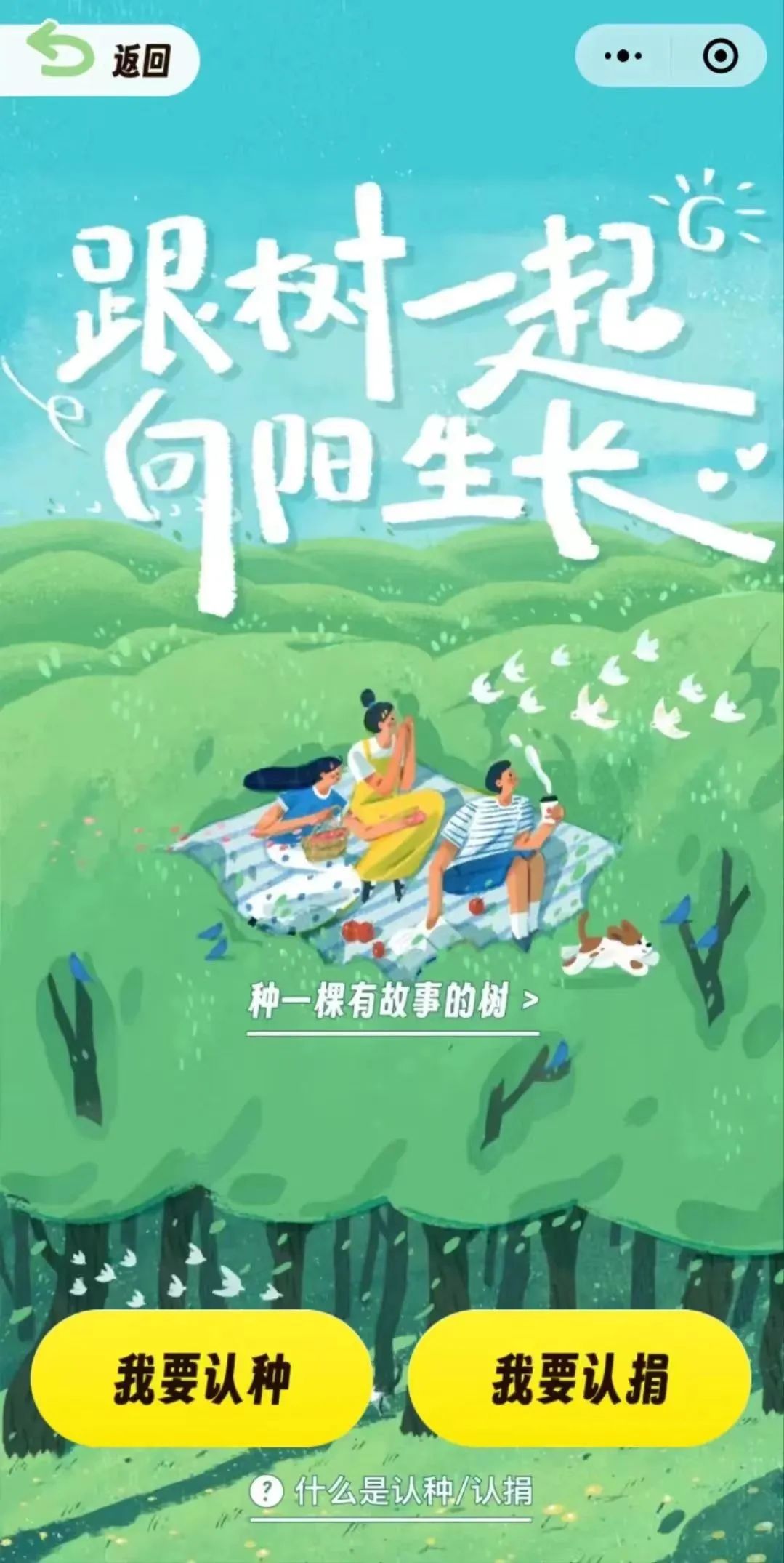 小程序建设方案_小程序建设_建设程序流程图