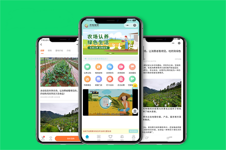 程序小游戏_小程序_程序小程序制作