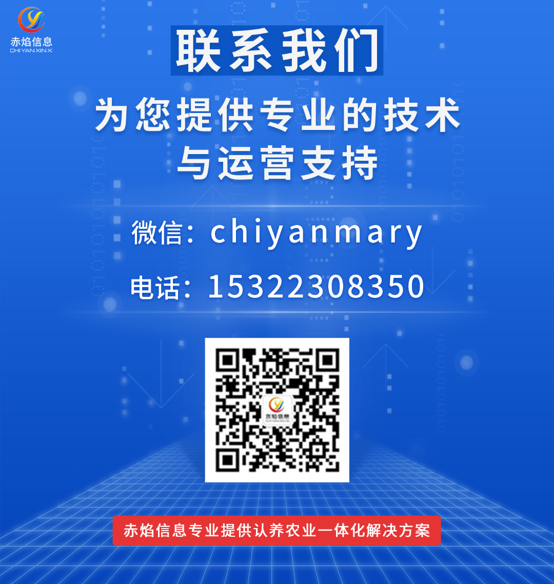 程序小游戏_小程序_程序小程序制作