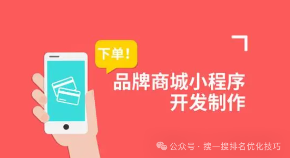 小程序建设方案_小程序建设_程序化建设